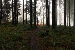 IMG_45891