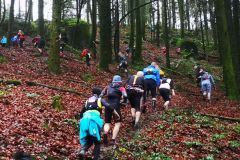trail_4-4564107